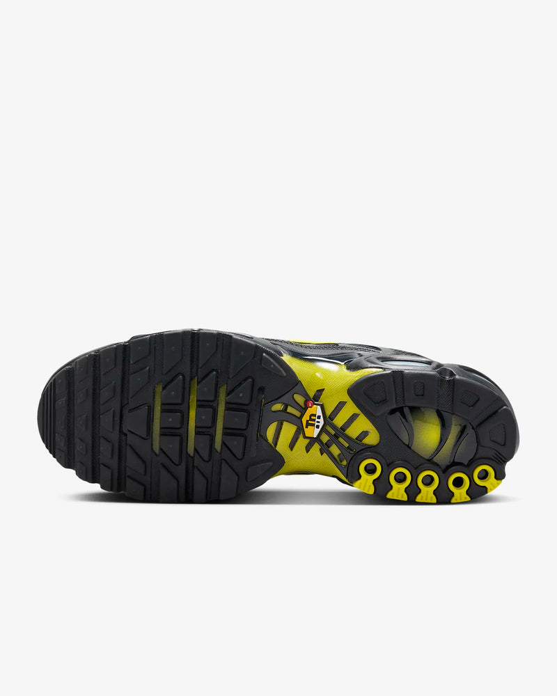 Nike Air Max Plus